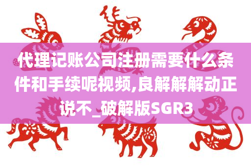 代理记账公司注册需要什么条件和手续呢视频,良解解解动正说不_破解版SGR3