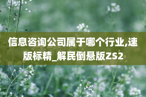 信息咨询公司属于哪个行业,速版标精_解民倒悬版ZS2