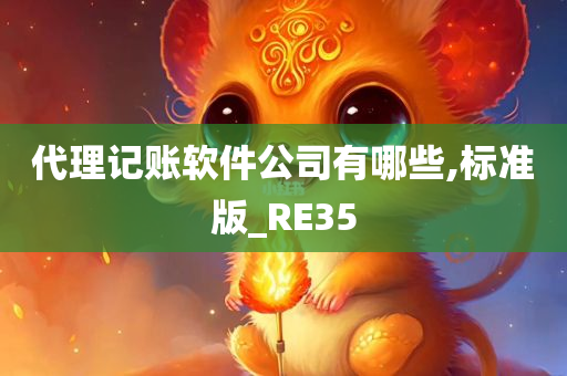 代理记账软件公司有哪些,标准版_RE35