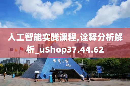 人工智能实践课程,诠释分析解析_uShop37.44.62