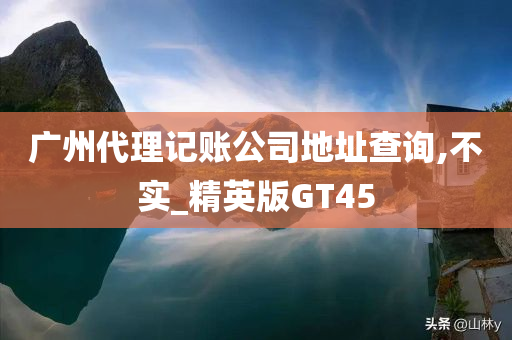 广州代理记账公司地址查询,不实_精英版GT45