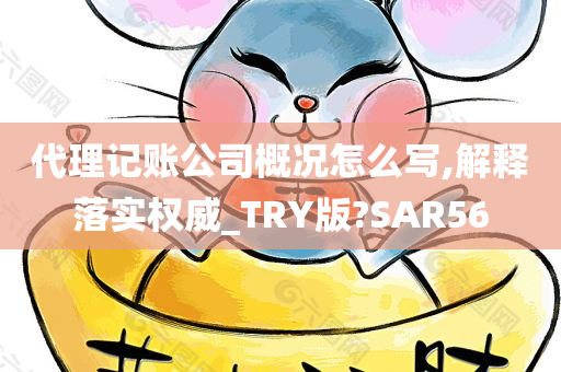 代理记账公司概况怎么写,解释落实权威_TRY版?SAR56