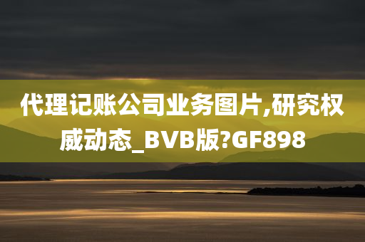 代理记账公司业务图片,研究权威动态_BVB版?GF898