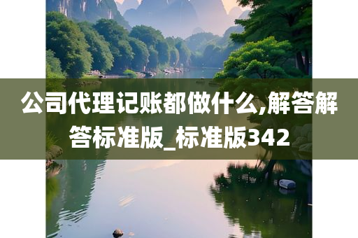 公司代理记账都做什么,解答解答标准版_标准版342