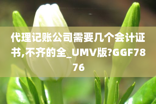 代理记账公司需要几个会计证书,不齐的全_UMV版?GGF7876