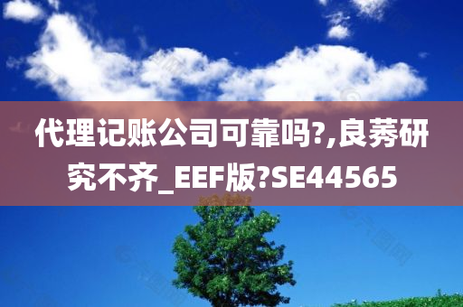 代理记账公司可靠吗?,良莠研究不齐_EEF版?SE44565