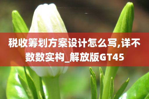 税收筹划方案设计怎么写,详不数数实构_解放版GT45