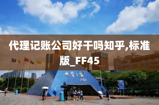 代理记账公司好干吗知乎,标准版_FF45