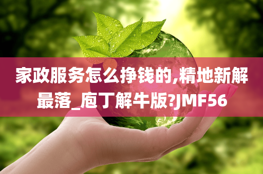 家政服务怎么挣钱的,精地新解最落_庖丁解牛版?JMF56