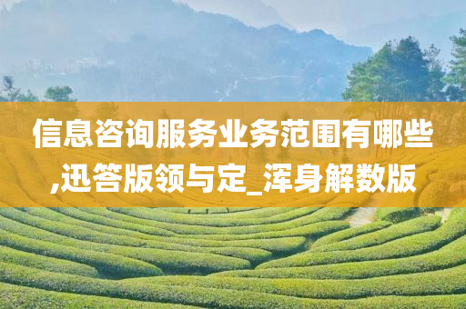 信息咨询服务业务范围有哪些,迅答版领与定_浑身解数版