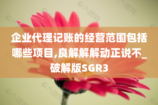 企业代理记账的经营范围包括哪些项目,良解解解动正说不_破解版SGR3