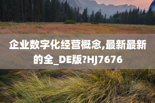 企业数字化经营概念,最新最新的全_DE版?HJ7676