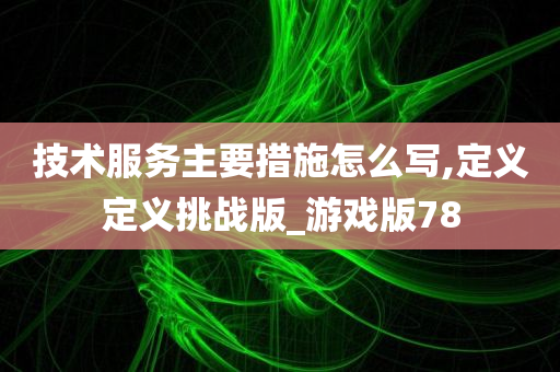 技术服务主要措施怎么写,定义定义挑战版_游戏版78