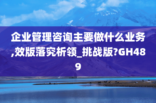 企业管理咨询主要做什么业务,效版落究析领_挑战版?GH489