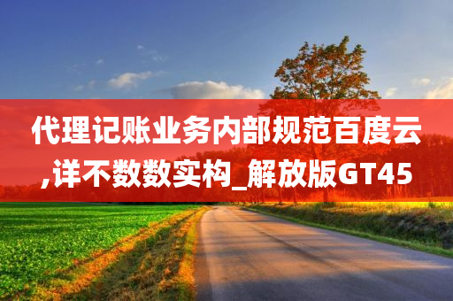 代理记账业务内部规范百度云,详不数数实构_解放版GT45