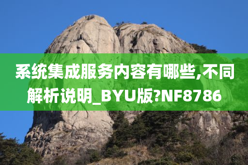 系统集成服务内容有哪些,不同解析说明_BYU版?NF8786