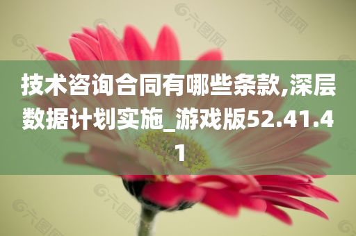 技术咨询合同有哪些条款,深层数据计划实施_游戏版52.41.41