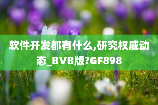 软件开发都有什么,研究权威动态_BVB版?GF898