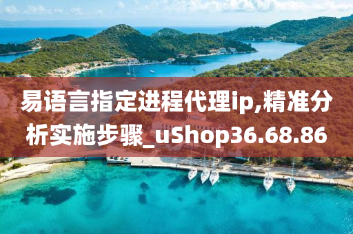 易语言指定进程代理ip,精准分析实施步骤_uShop36.68.86