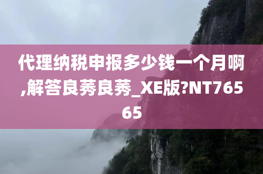 代理纳税申报多少钱一个月啊,解答良莠良莠_XE版?NT76565