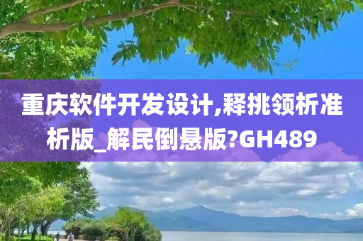 重庆软件开发设计,释挑领析准析版_解民倒悬版?GH489