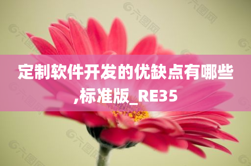 定制软件开发的优缺点有哪些,标准版_RE35