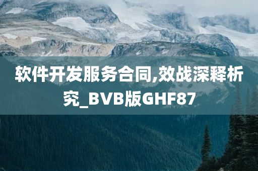 软件开发服务合同,效战深释析究_BVB版GHF87