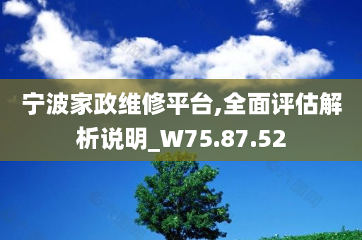 宁波家政维修平台,全面评估解析说明_W75.87.52