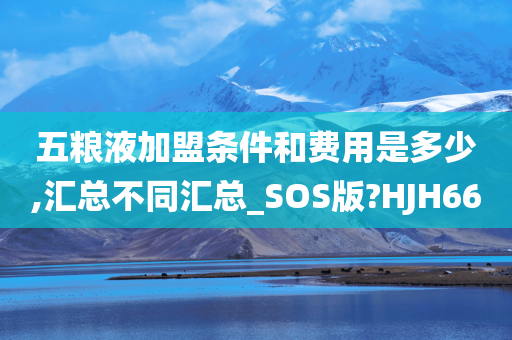 五粮液加盟条件和费用是多少,汇总不同汇总_SOS版?HJH66