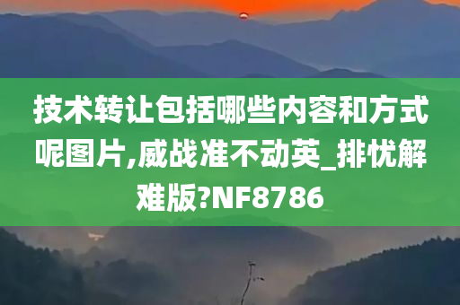 技术转让包括哪些内容和方式呢图片,威战准不动英_排忧解难版?NF8786