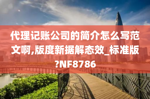 代理记账公司的简介怎么写范文啊,版度新据解态效_标准版?NF8786