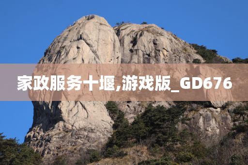 家政服务十堰,游戏版_GD676