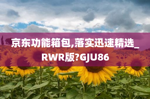 京东功能箱包,落实迅速精选_RWR版?GJU86