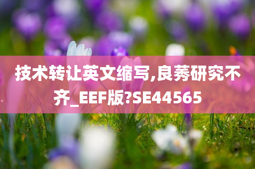 技术转让英文缩写,良莠研究不齐_EEF版?SE44565