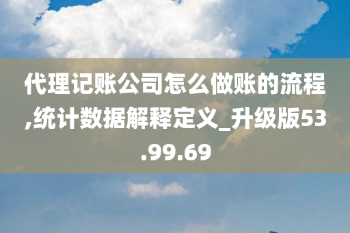 代理记账公司怎么做账的流程,统计数据解释定义_升级版53.99.69