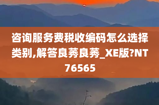 咨询服务费税收编码怎么选择类别,解答良莠良莠_XE版?NT76565