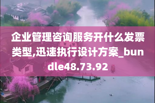 企业管理咨询服务开什么发票类型,迅速执行设计方案_bundle48.73.92