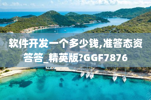 软件开发一个多少钱,准答态资答答_精英版?GGF7876