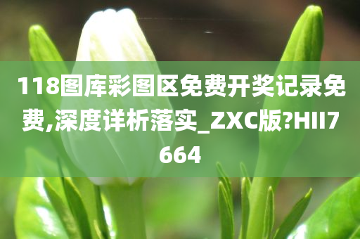 118图库彩图区免费开奖记录免费,深度详析落实_ZXC版?HII7664