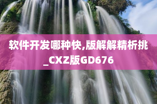 软件开发哪种快,版解解精析挑_CXZ版GD676