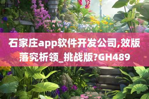 石家庄app软件开发公司,效版落究析领_挑战版?GH489