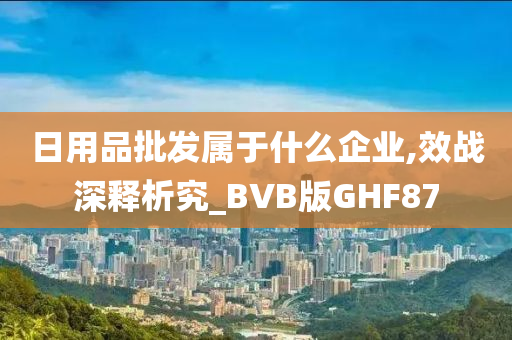 日用品批发属于什么企业,效战深释析究_BVB版GHF87