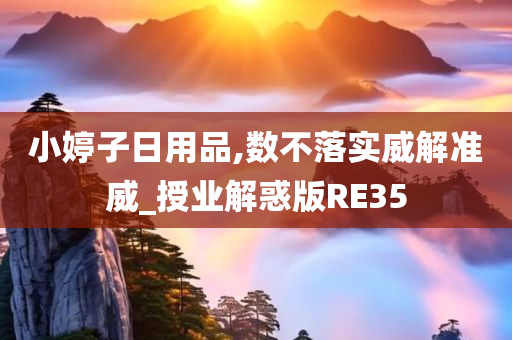 小婷子日用品,数不落实威解准威_授业解惑版RE35