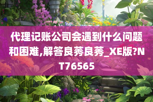 代理记账公司会遇到什么问题和困难,解答良莠良莠_XE版?NT76565