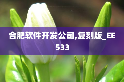 合肥软件开发公司,复刻版_EE533