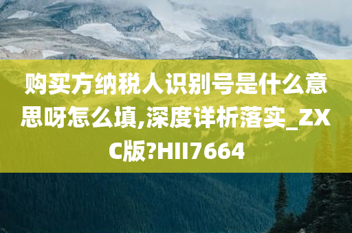 购买方纳税人识别号是什么意思呀怎么填,深度详析落实_ZXC版?HII7664