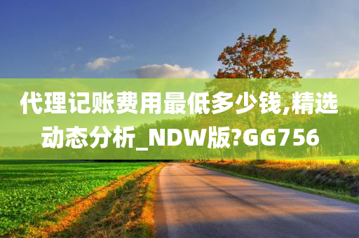 代理记账费用最低多少钱,精选动态分析_NDW版?GG756