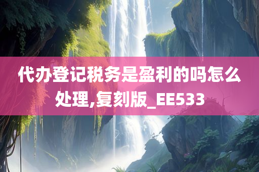 代办登记税务是盈利的吗怎么处理,复刻版_EE533