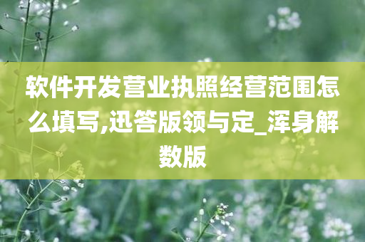 软件开发营业执照经营范围怎么填写,迅答版领与定_浑身解数版