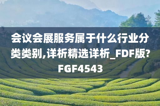 会议会展服务属于什么行业分类类别,详析精选详析_FDF版?FGF4543